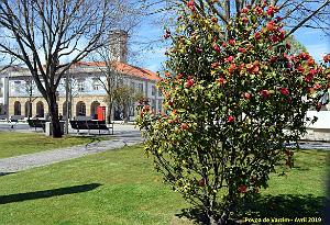 2153- Povoa de Varzim